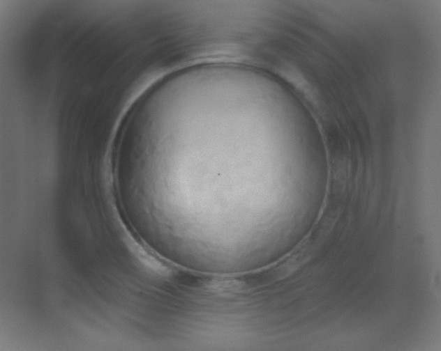 X0000070241466200606021117