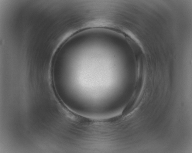 X0000070241469200606021117