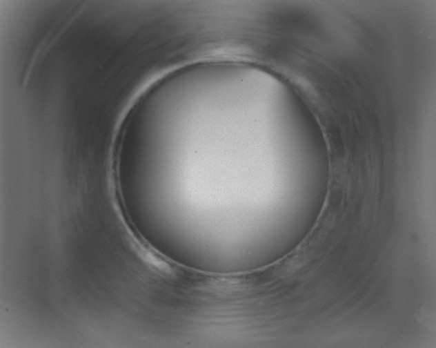 X0000070241470200606021117