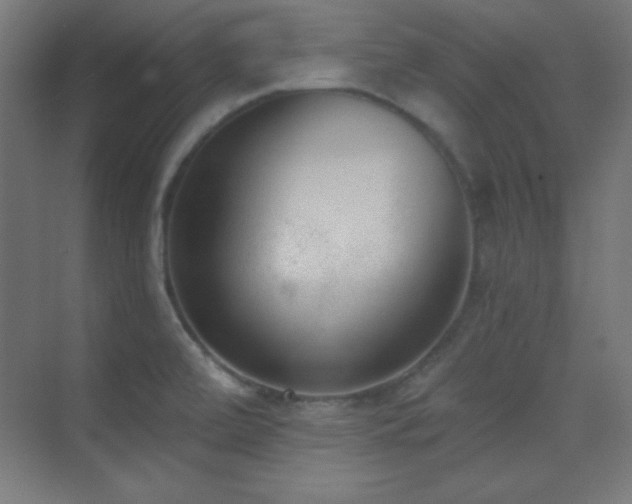X0000070241472200606021117
