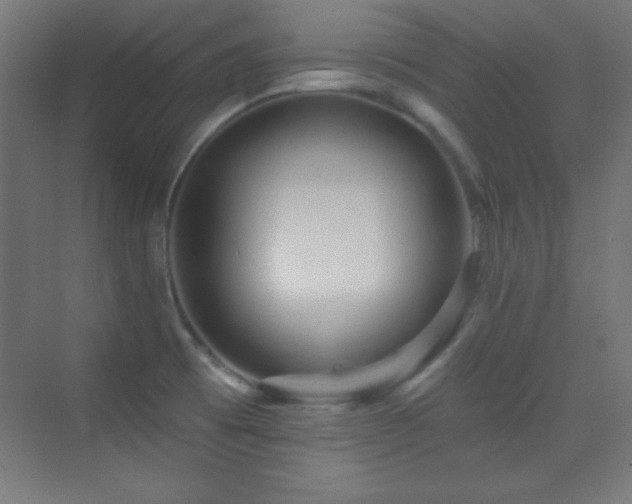 X0000070241473200606021117
