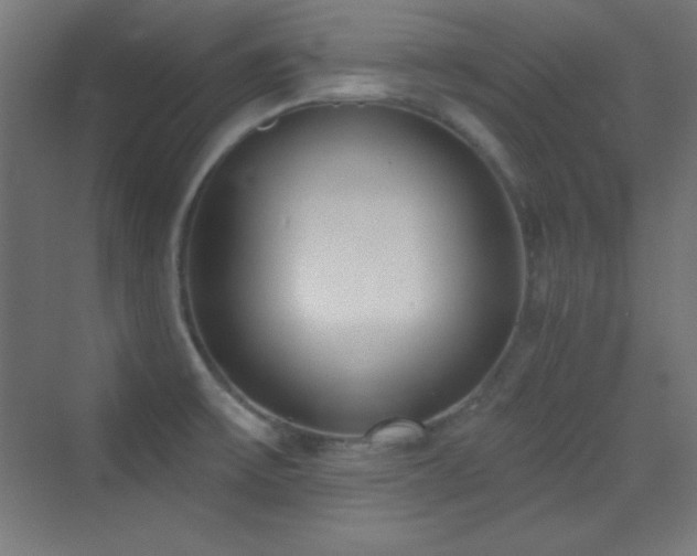 X0000070241475200606021117