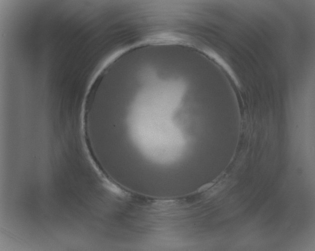 X0000070241477200606021117