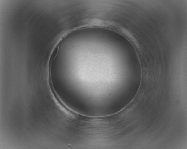 X0000070241479200606021117