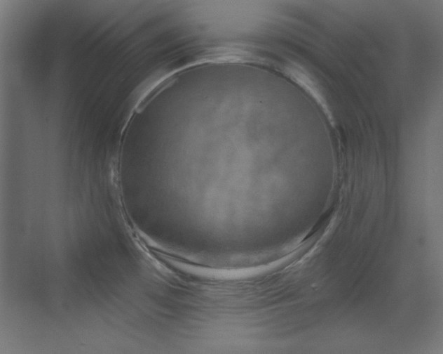 X0000070241481200606021117