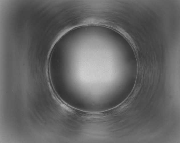 X0000070241486200606021117