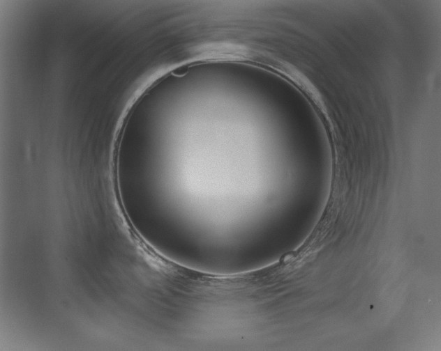 X0000070241488200606021117