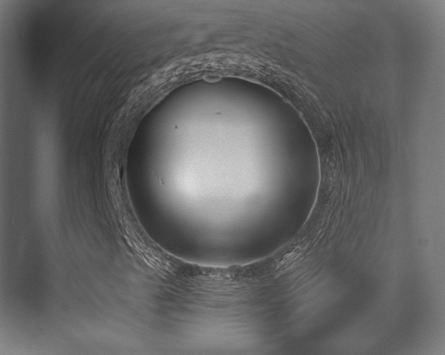 X0000070241489200606021116