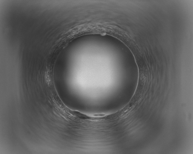 X0000070241490200606021116