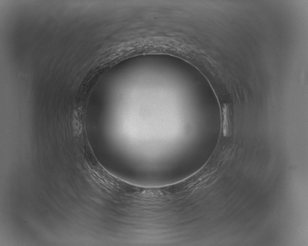 X0000070241491200606021116