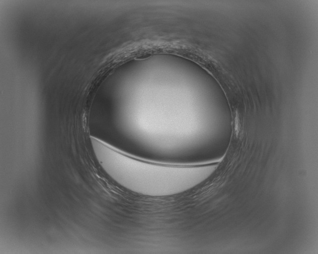 X0000070241492200606021116