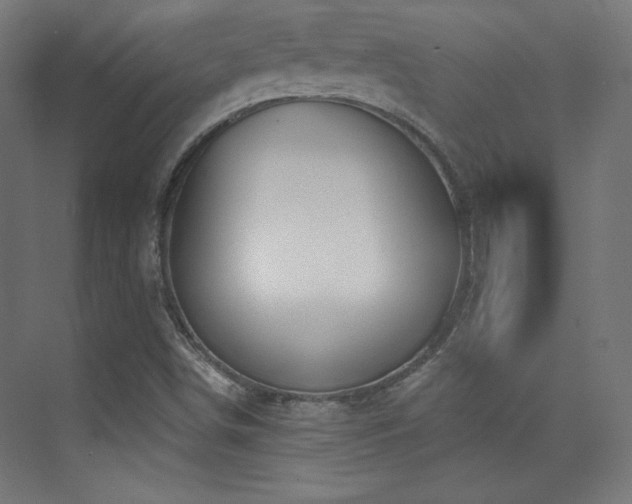 X0000070241498200606021116