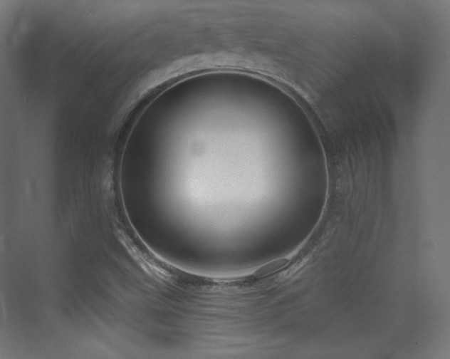 X0000070241499200606021116