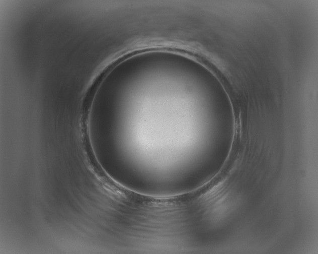 X0000070241501200606021116
