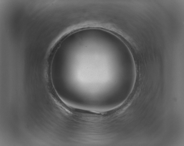 X0000070241502200606021116