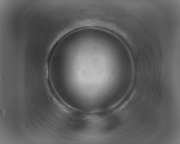 X0000070241509200606021116