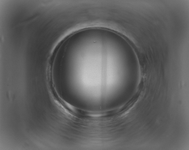 X0000070241510200606021116