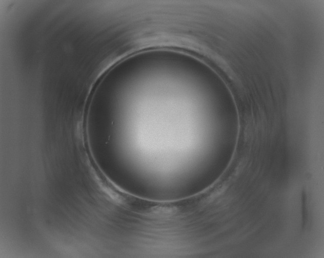 X0000070241513200606021116