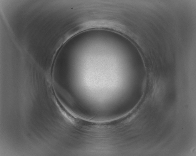 X0000070241521200606021117