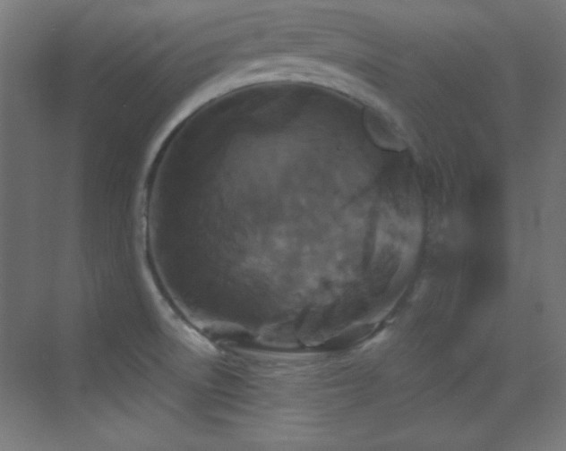 X0000070241522200606021117