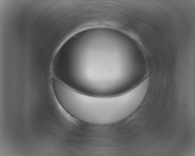 X0000070241524200606021117