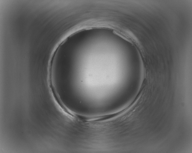 X0000070241528200606021117