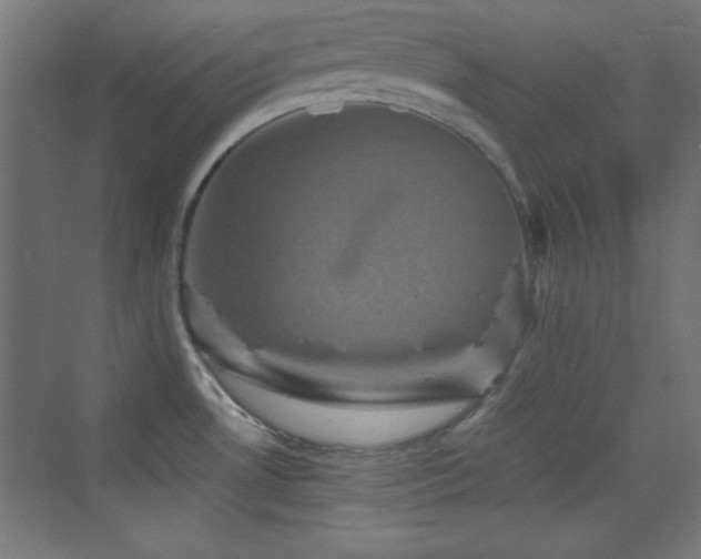 X0000070241530200606021117