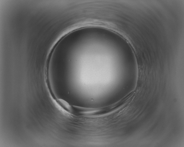 X0000070241531200606021117