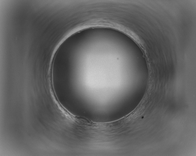 X0000070241536200606021117
