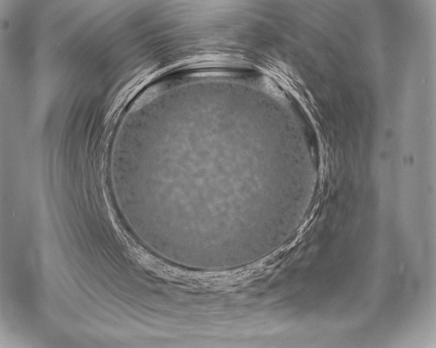 X0000070240001200606051136