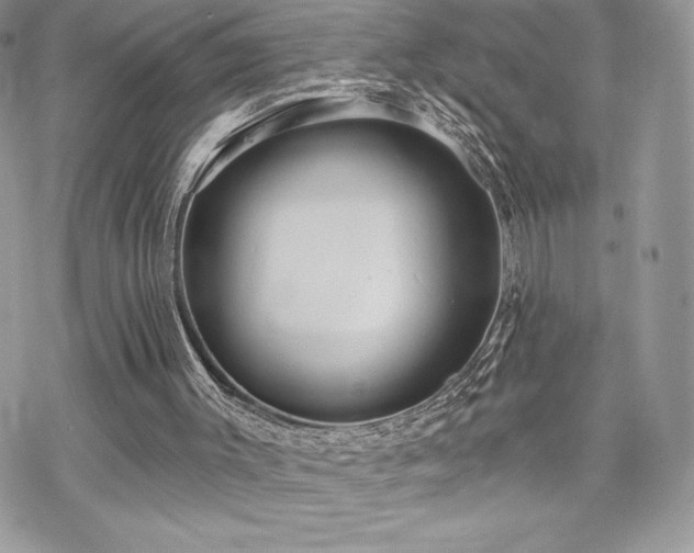 X0000070240003200606051136