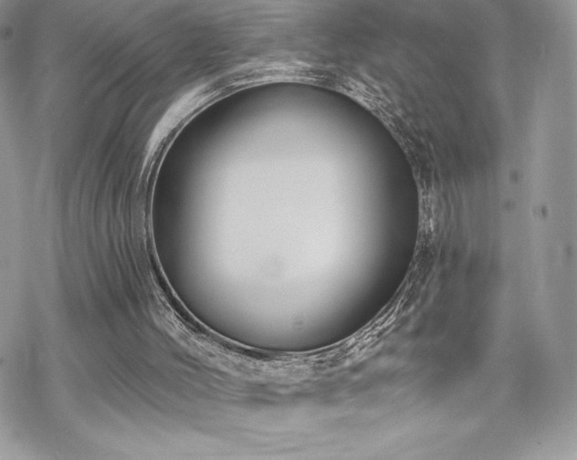 X0000070240004200606051136