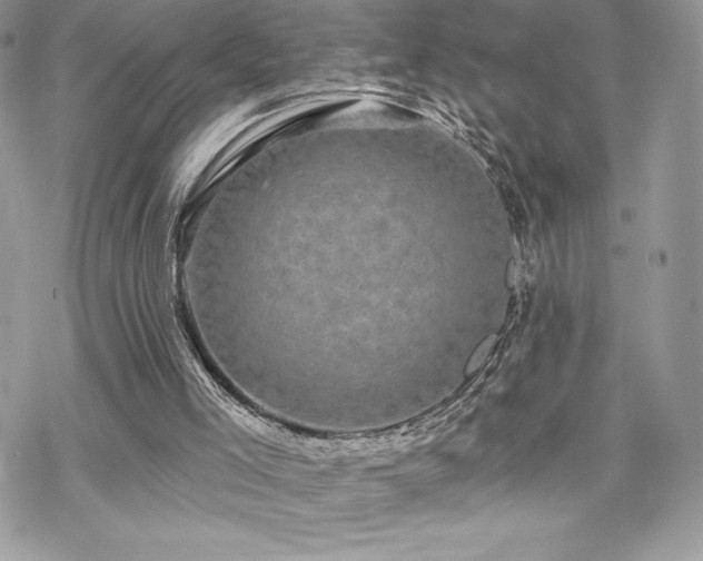 X0000070240005200606051136