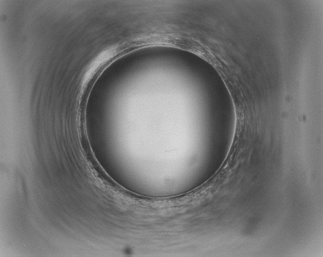 X0000070240006200606051136