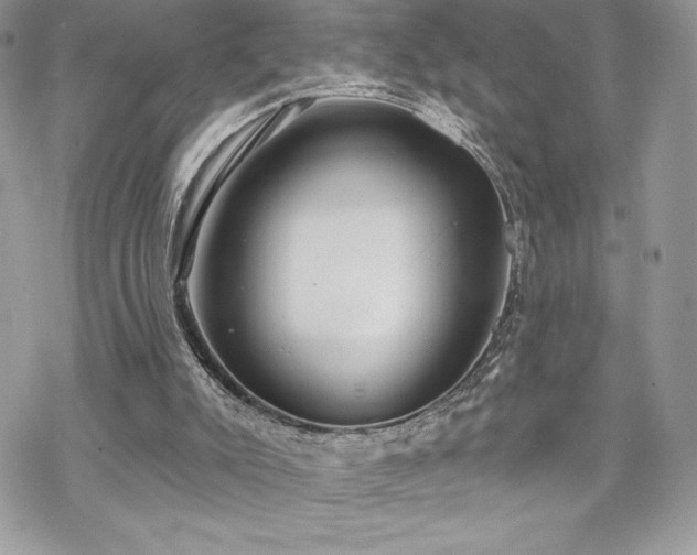 X0000070240007200606051136