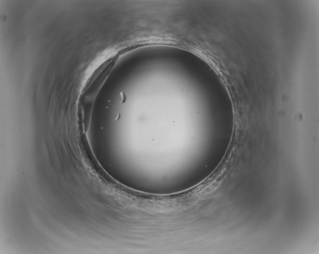 X0000070240008200606051136