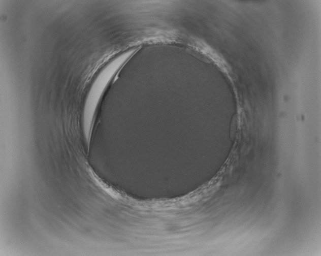 X0000070240009200606051136