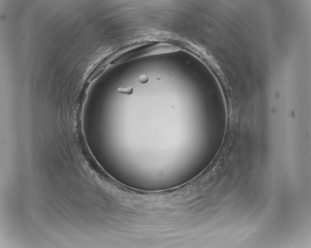 X0000070240010200606051136