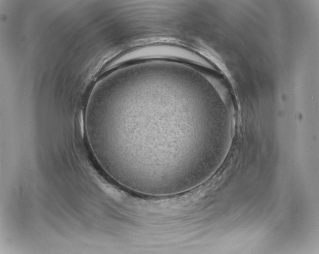 X0000070240013200606051136