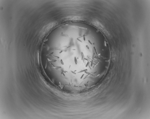 X0000070240014200606051136