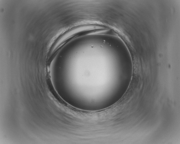 X0000070240015200606051136