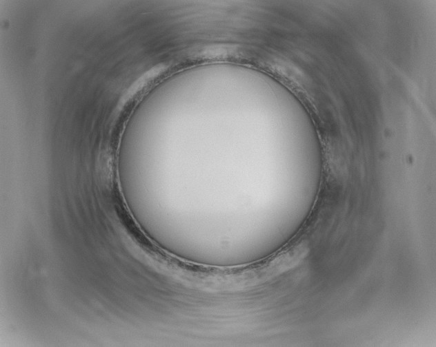 X0000070240016200606051136