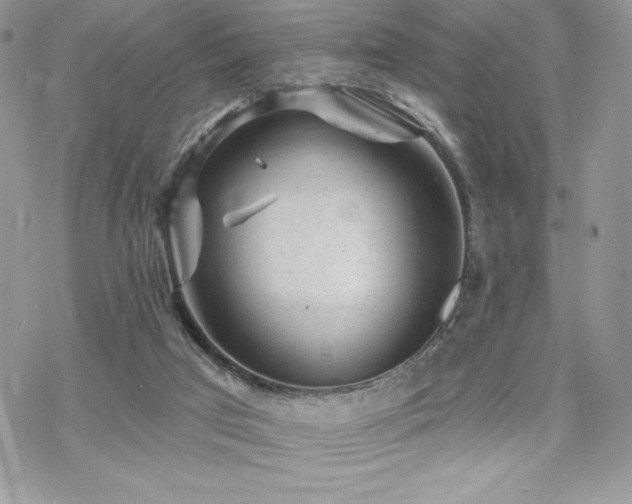 X0000070240017200606051136