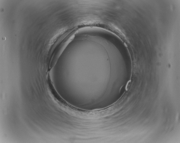 X0000070240019200606051136