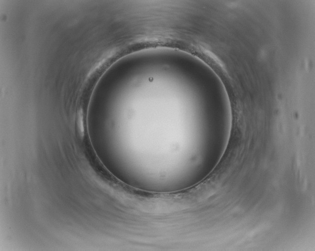 X0000070240020200606051136