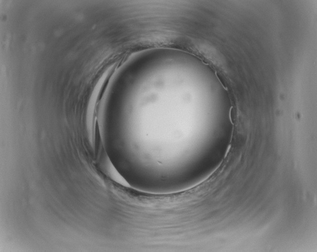 X0000070240021200606051136