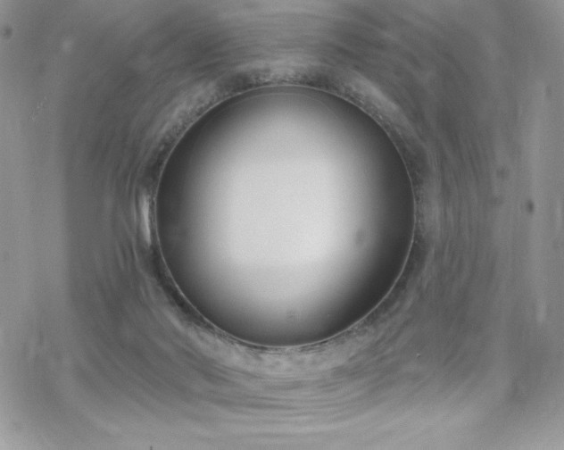 X0000070240022200606051136