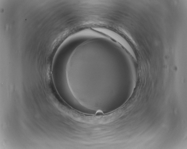 X0000070240023200606051136