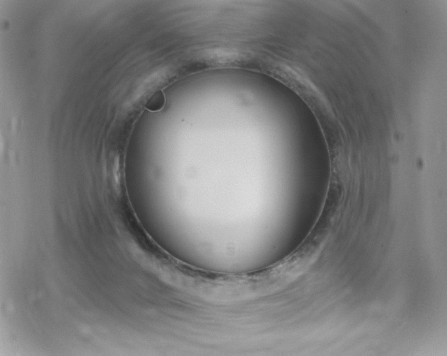 X0000070240024200606051136