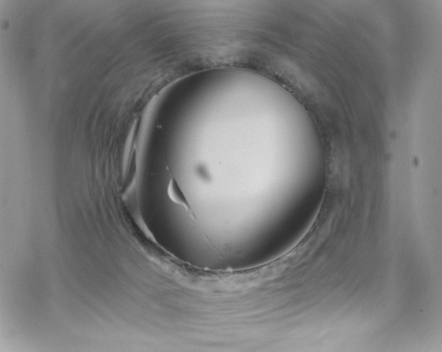 X0000070240025200606051136